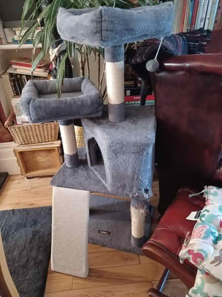 Photo of free Cat tower (Hailsham BN27) #1