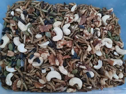 Photo of free 1 lot of mixed bird food (Bournemouth BH1) #1