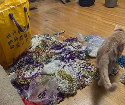 Photo of free Mardi Gras beads (Southwedge) #2
