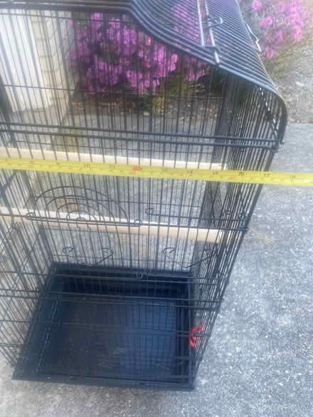 Photo of free Bird Cage (Canton) #2
