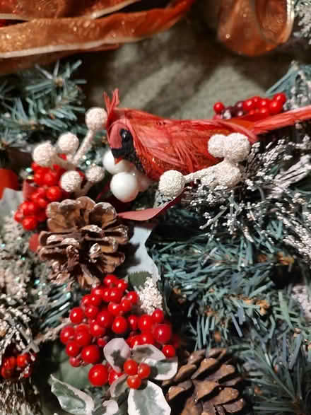 Photo of free Holiday wreath (Odenton) #2