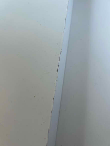 Photo of free IKEA Linnmon desktops and 6 adjustable legs (Upminster RM14) #3