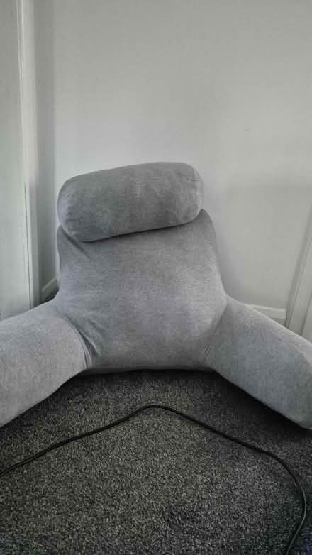 Photo of free Back cushion (Horsley Woodhouse DE7) #1