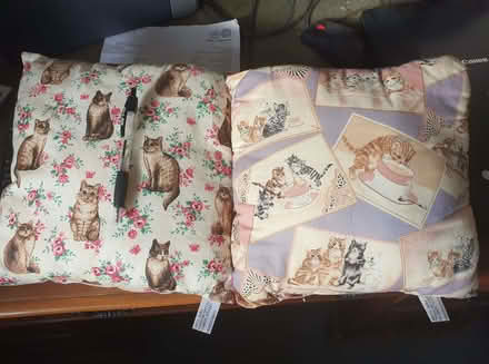 Photo of free 2 small cushions (New Greens AL3) #1