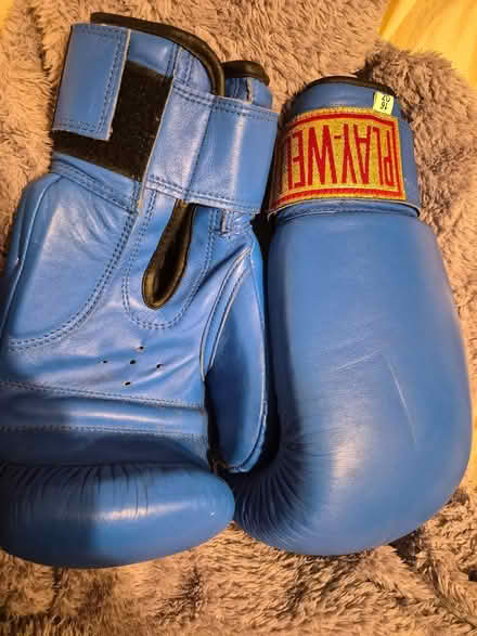 Photo of free Blue Boxing gloves (E5 Harry Zeital Way) #1