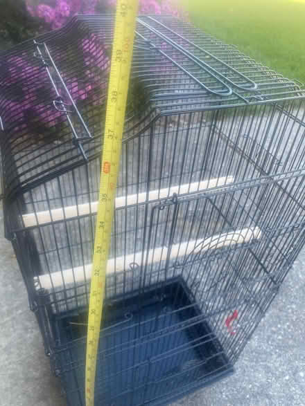 Photo of free Bird Cage (Canton) #1