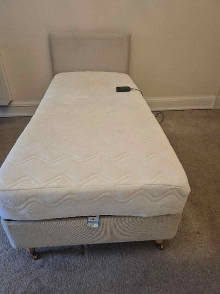 Photo of free Single bed (Eastbourne BN21) #1