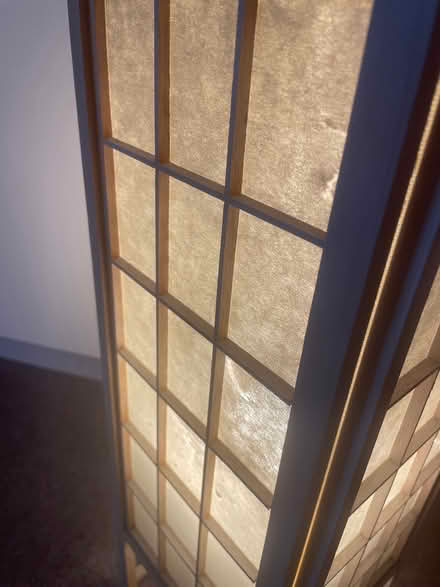 Photo of free Lamp (Teddington TW11) #3