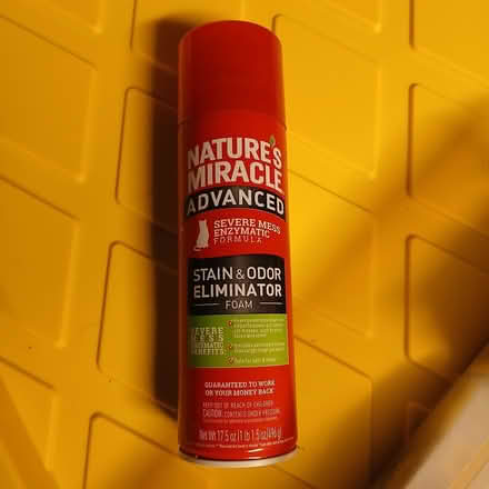 Photo of free Pet stain treatment (Interlake HS) #1