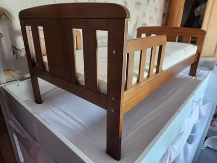 Photo of free John Lewis toddler bed (Brighton BN2) #1