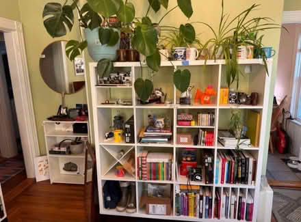 Photo of free We are moving! Lots of free stuff (Mount Hope) #1