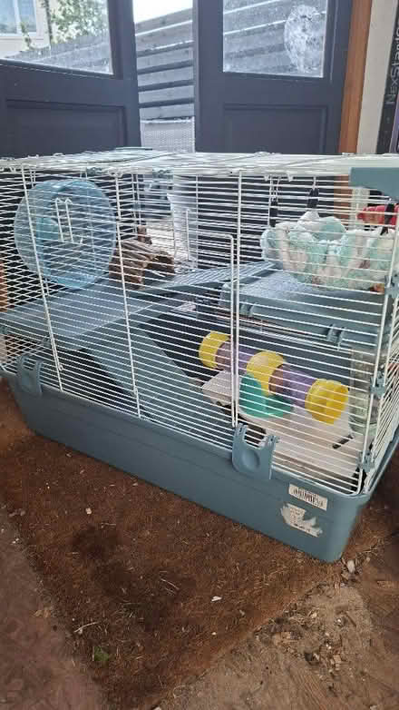 Photo of free Hamster/gerbil cage (Colchester CO4) #2