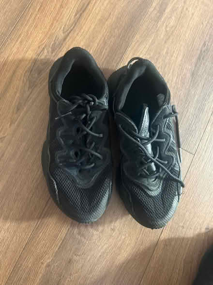 Photo of free adidas ozweego (E4 Chingford) #1