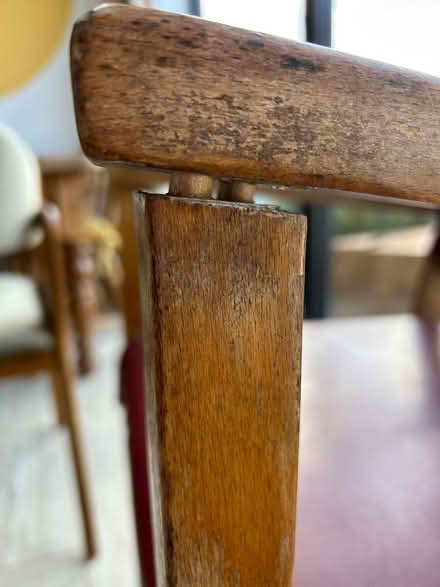 Photo of free 2 x Dining Chairs (Norton (S8)) #4