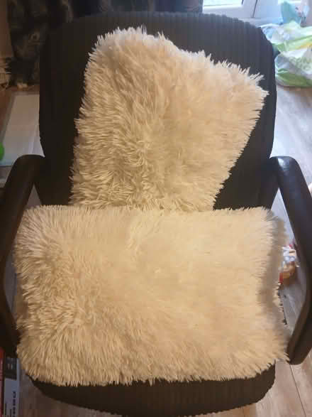 Photo of free Two Cushions (Halewood L26) #1