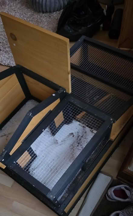 Photo of free Tortoise house. Bought from amazon (Halton LA2) #3