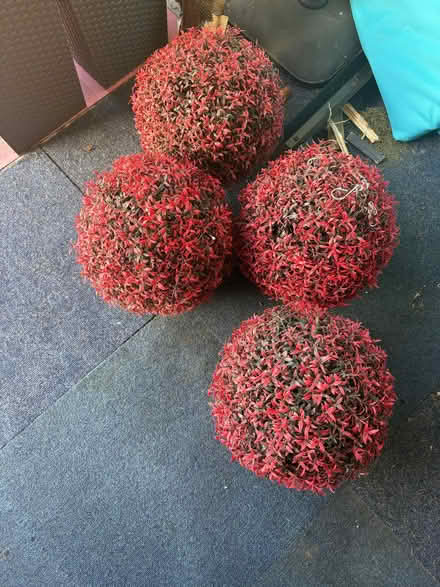 Photo of free Red Topiary Balls x 4 (Blackpill SA2) #3