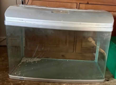 Photo of free Bare Fish tank. (Filey YO14) #1