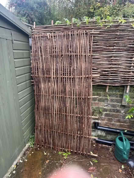 Photo of free Hazel hurdle fencing (Wendell Park, Hammersmith W12) #1