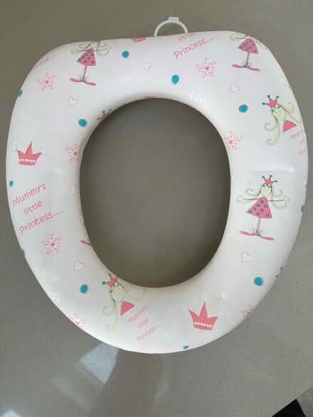Photo of free Child’s toilet seat (Iffley Road OX4) #1