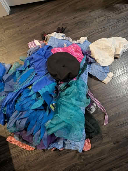 Photo of free Assorted girl costumes (Assembly Square) #1