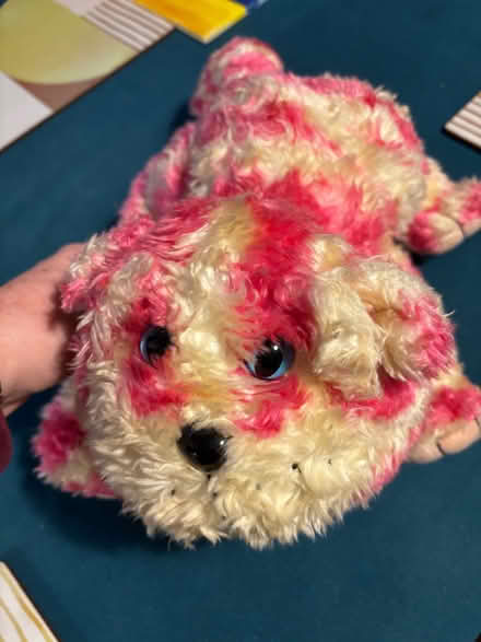 Photo of free Bagpuss cuddly toy (King's Lynn PE30) #1