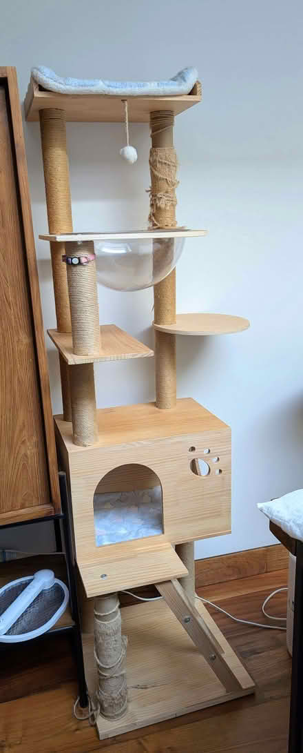 Photo of free Cat tower (Marylebone W1U) #1