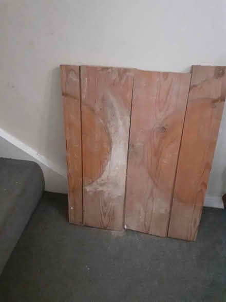 Photo of free Woid - Tongue and groove pine (MK18 Winslow) #1