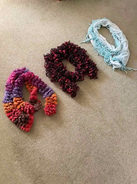 Photo of free Scarves (Sutton Courtenay OX14) #1