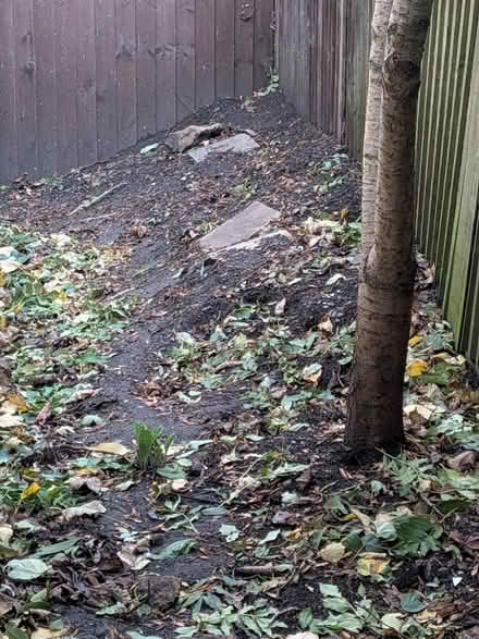 Photo of free Organic top soil (Petersfield CB1) #1