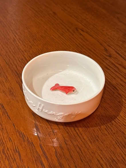 Photo of free Cat water bowl (Ha02nt) #1
