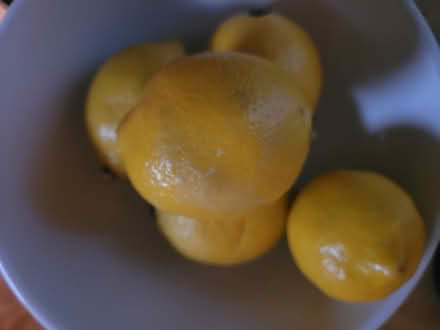 Photo of free Lemons (Oakland) #1