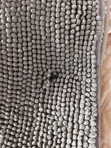 Photo of free 4 bath mats (Brighton BN1) #4