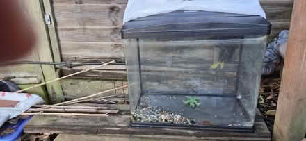Photo of free Fish Tank (EN4 8PB East Barnet) #2