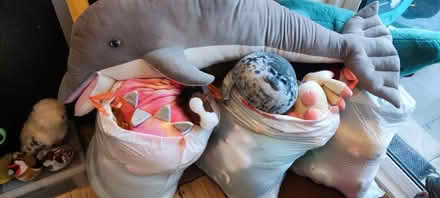 Photo of free Bag of children's plushies (Longbridge, B31) #1