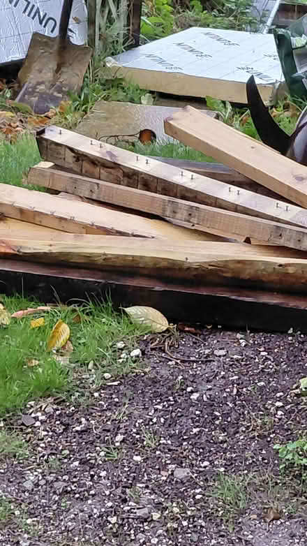 Photo of free Old pallet wood suitable for bonfire/ fireplace burning only (Wallands Park BN7) #2