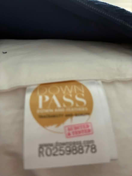 Photo of free Blue cushions - John Lewis (Old Windsor SL4) #2