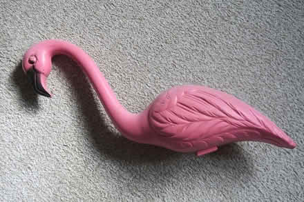 Photo of free Pink Flamingo (Prospect Hts) #1