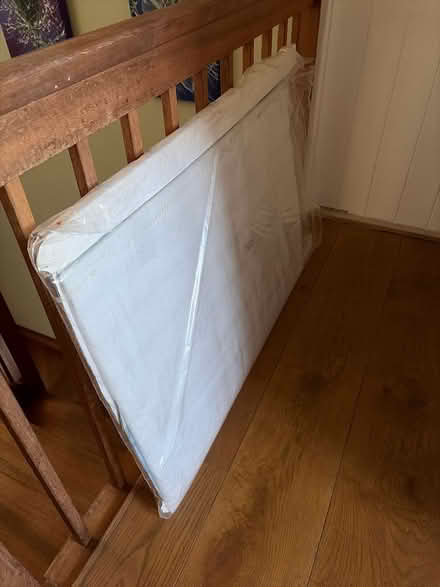 Photo of free 6ft cardboard polar bear (Hitchin Herts SG4) #3