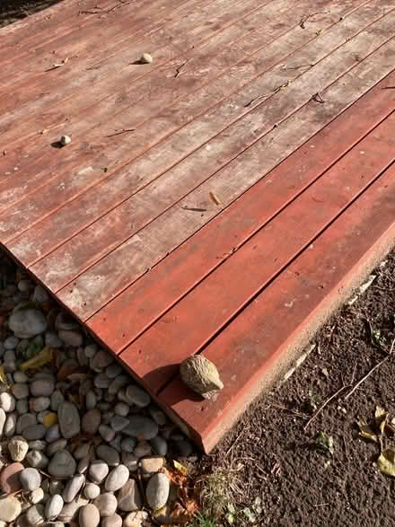 Photo of free Wood Decking (Bearton SG5) #1