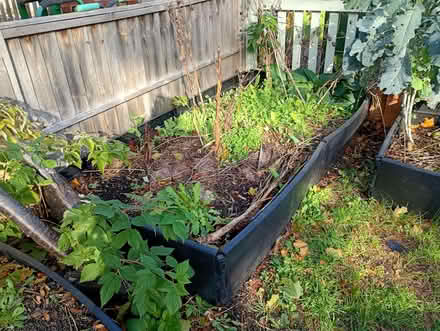 Photo of free Garland raised beds (King's Hedges Ward CB4) #2