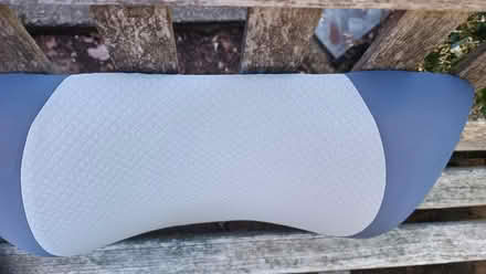 Photo of free two back pillows? (The Nurserylands TW12) #3