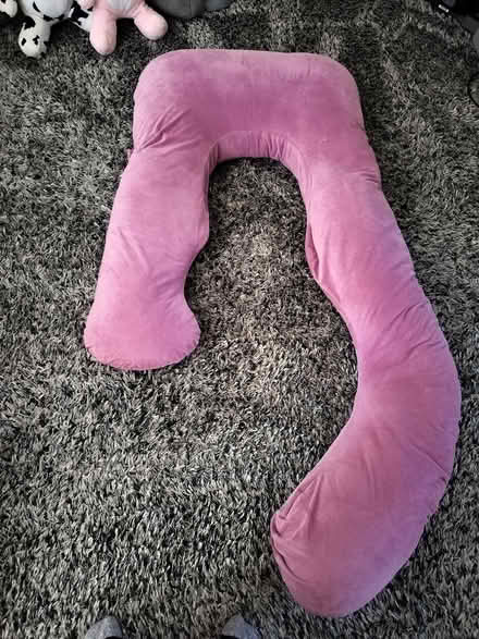 Photo of free Body pillow (Lexington) #1