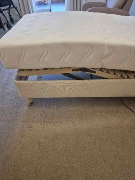 Photo of free Single bed (Eastbourne BN21) #3