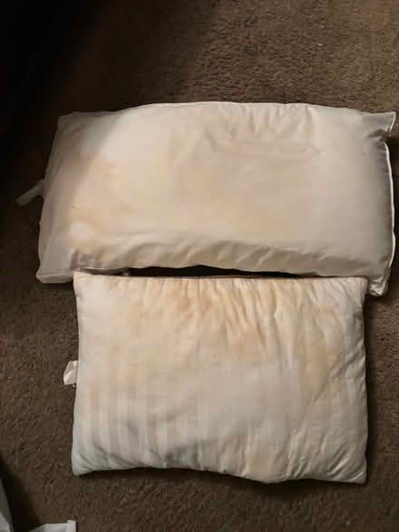 Photo of free Bed pillows (Mitty High area) #1