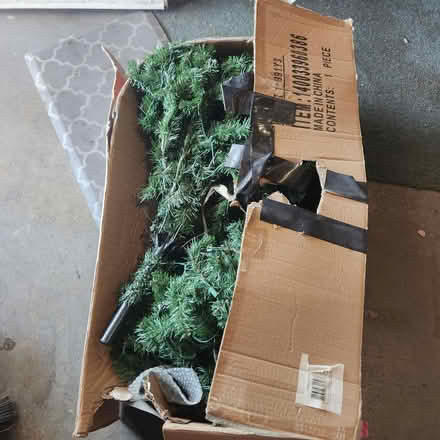 Photo of free Small Christmas Tree (Oceanside off Mesa drive) #1