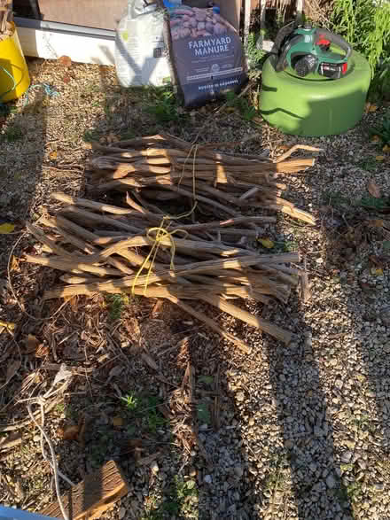 Photo of free Wood for November 5th bonfire? (Upper Wolvercote OX2) #1
