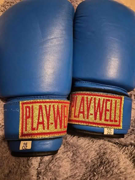 Photo of free Blue Boxing gloves (E5 Harry Zeital Way) #2