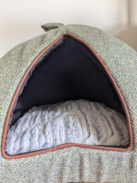 Photo of free Cat bed (10 min walk from Clapham South) #4