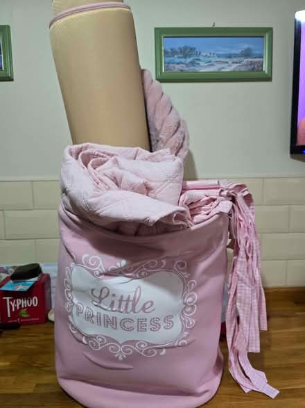 Photo of free Little princess kit (Lye Valley OX4) #1